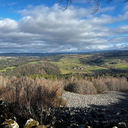 Les Roulottes De La Ferme Des Chanaux Saint-Julien-d'Ance Eksteriør bilde