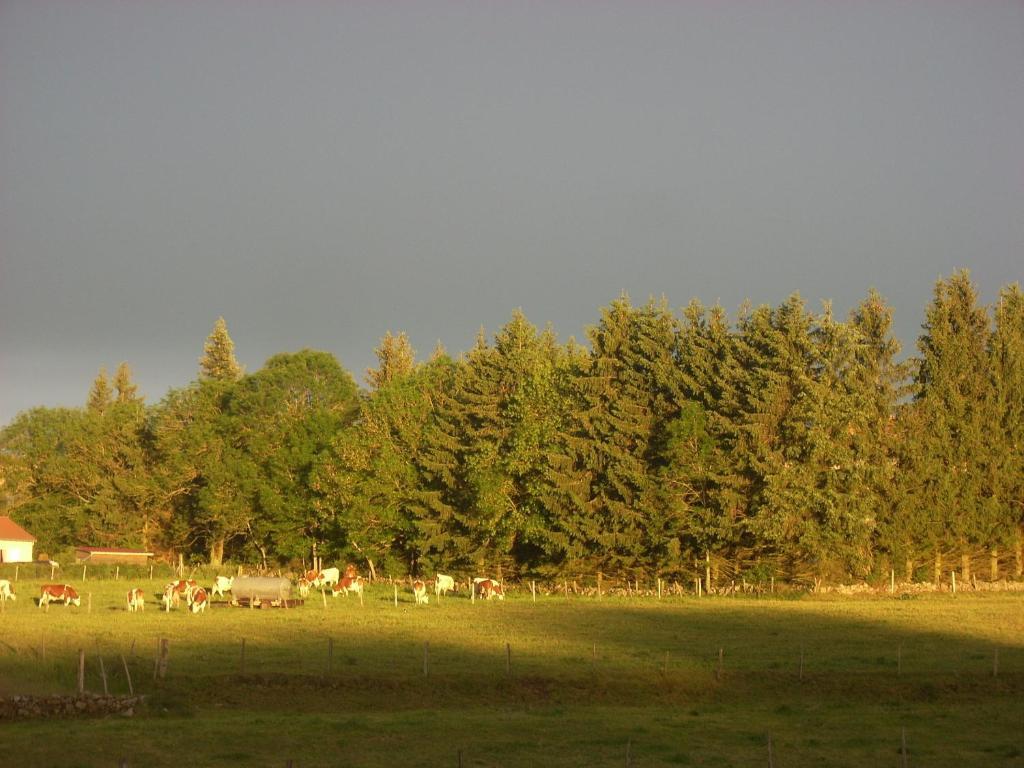 Les Roulottes De La Ferme Des Chanaux Saint-Julien-d'Ance Rom bilde